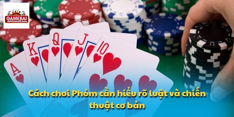 Học Cách Chơi Phỏm Và Chiến Thuật Giúp Bạn Làm Chủ Ván Bài 2 Cách chơi Phỏm cần hiểu rõ luật và chiến thuật cơ bản